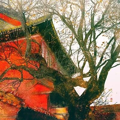 情话|这七个温柔的古风短句太动人:山河旧且远