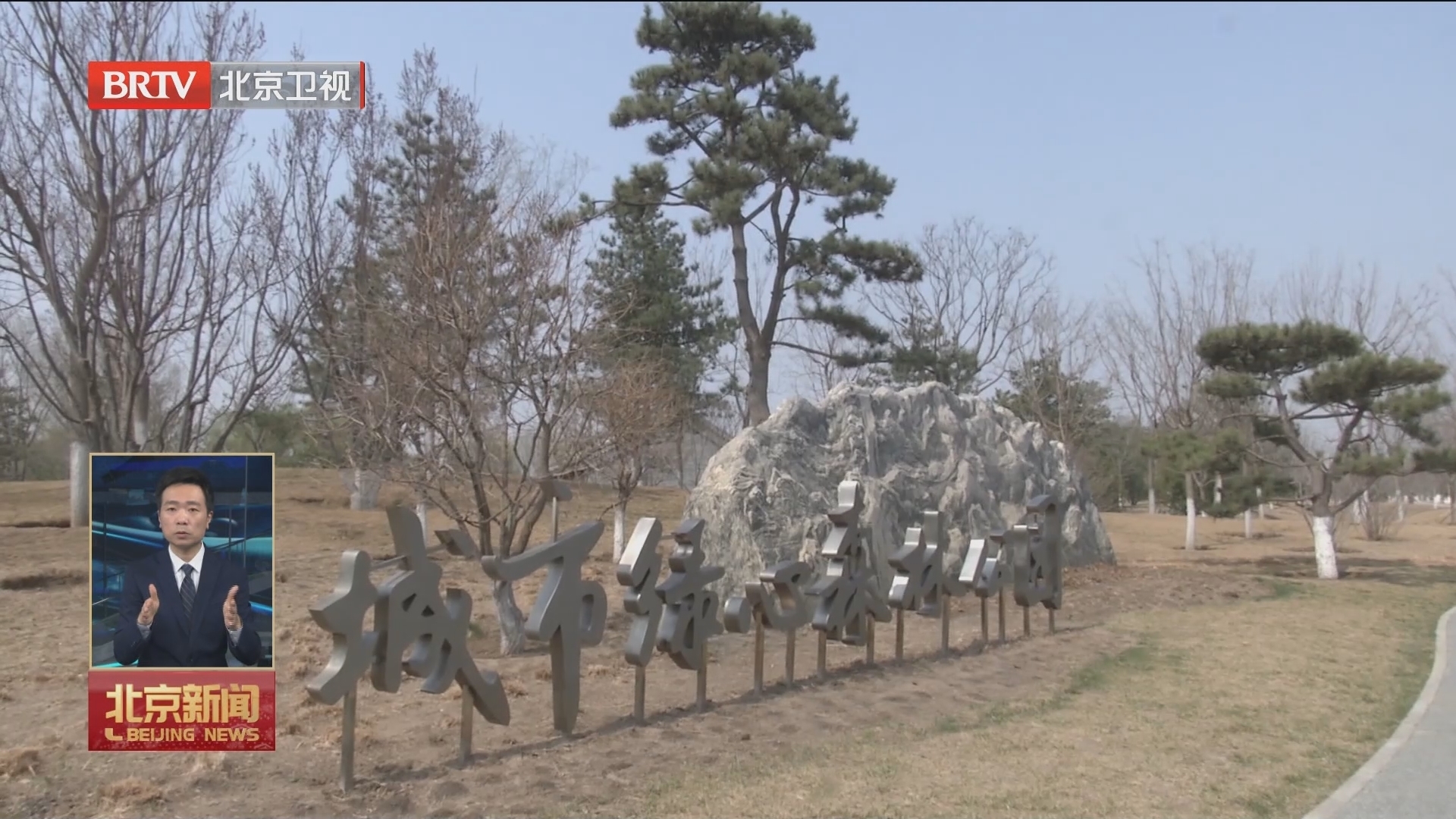城市绿心“近零碳”入选全国首批低碳转型典型