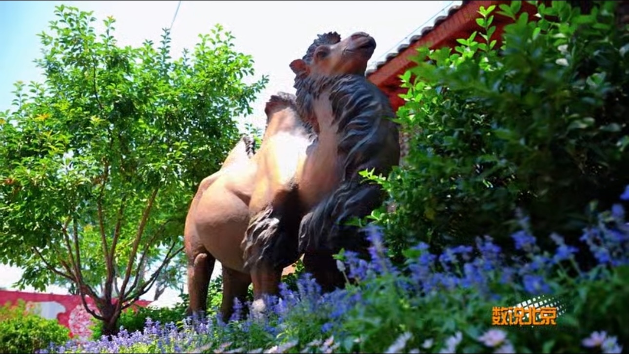驼铃古道模式口百年老街摘得“北京最美街巷” 驼铃古道模式口百年老街摘得“北京最美街巷”