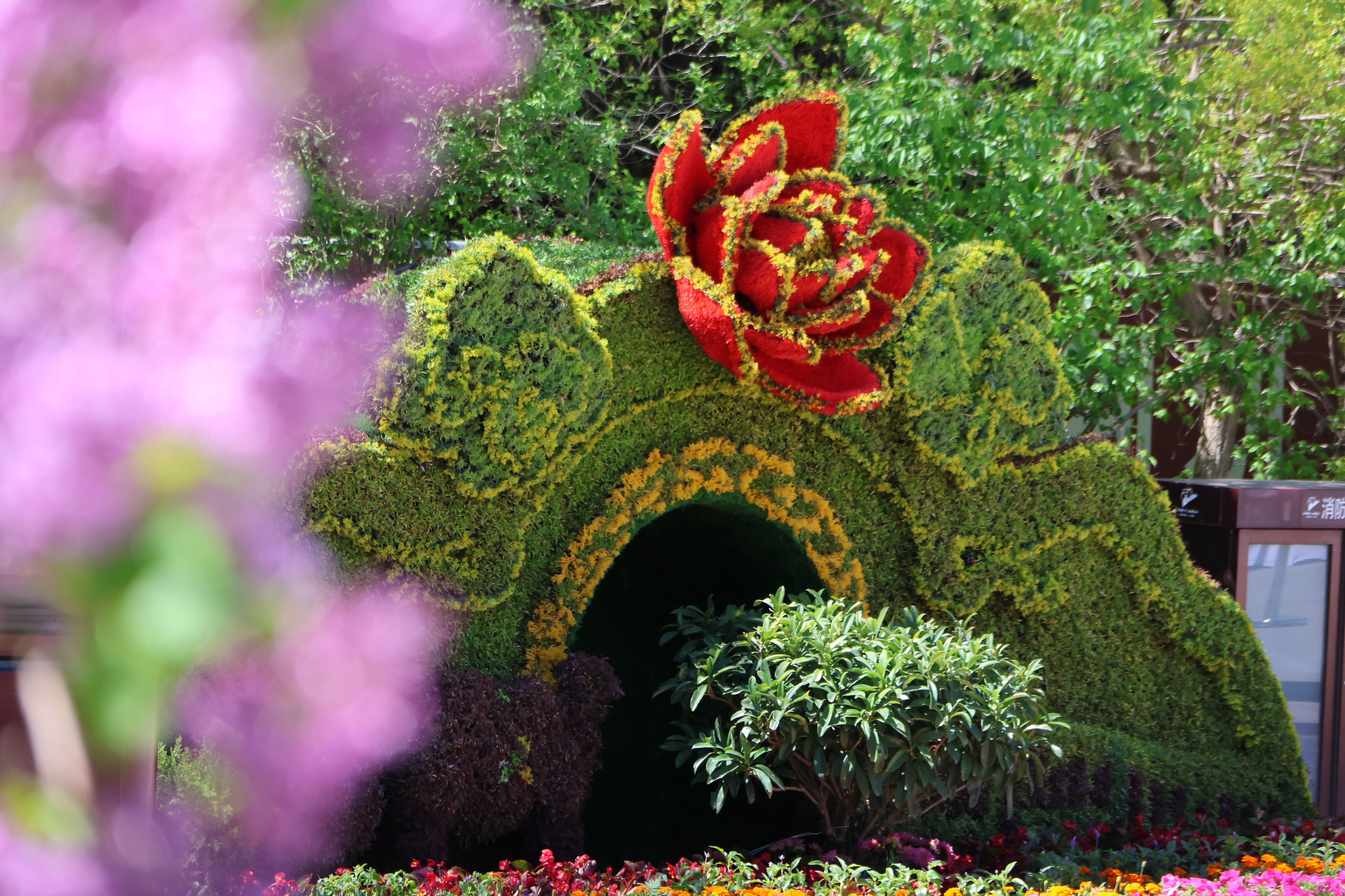 五一上新｜八达岭花漾登场：雄关映翠，龙腾盛世！