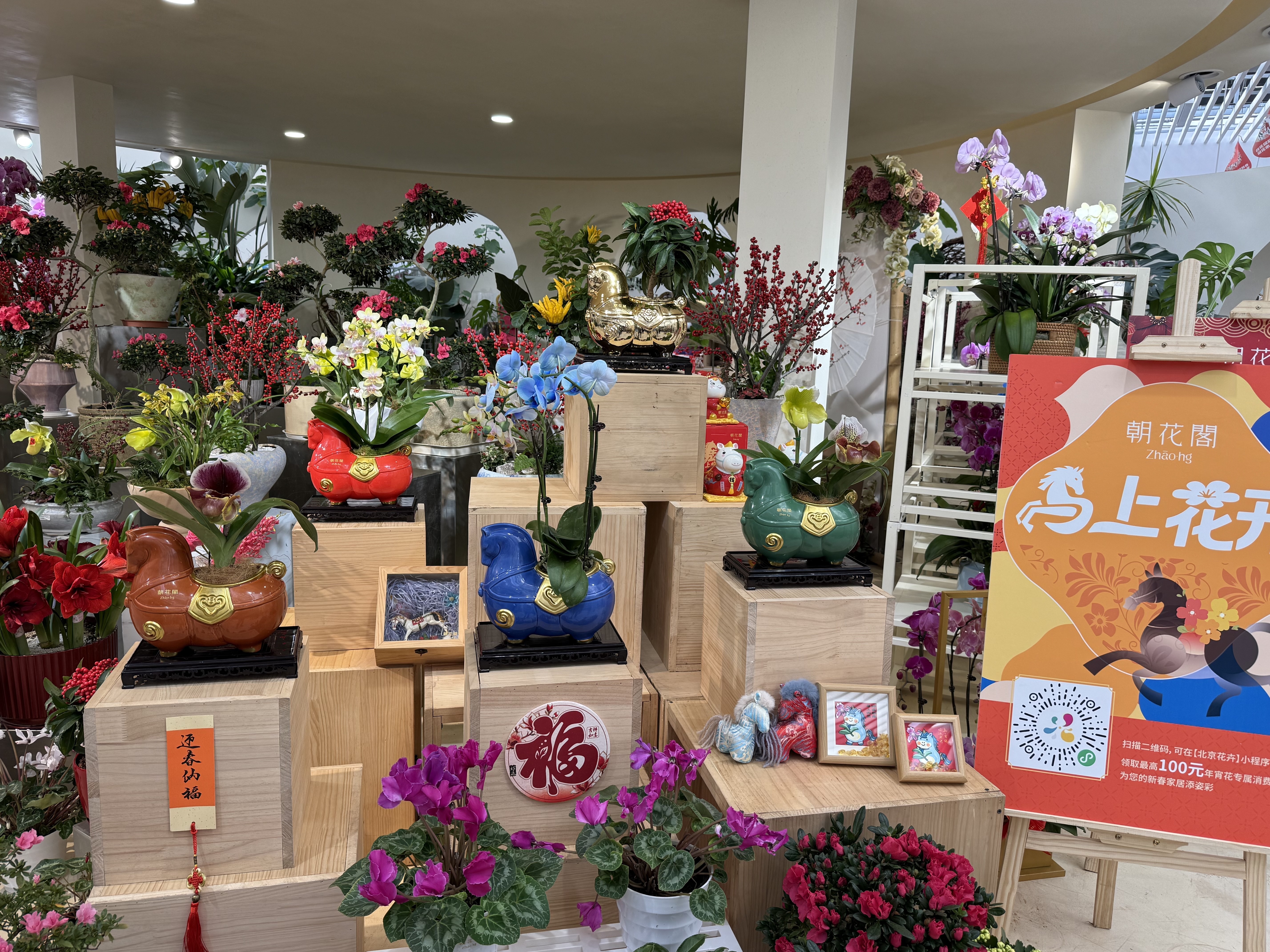 逛北京花市“马上”有惊喜! 逛北京花市“马上”有惊喜!