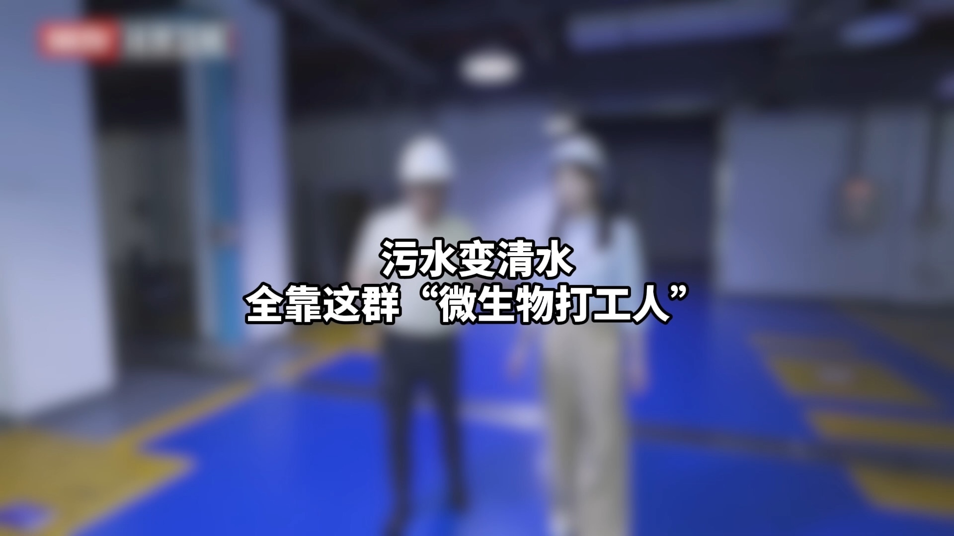 生化池里的绿色治水密码 生化池里的绿色治水密码