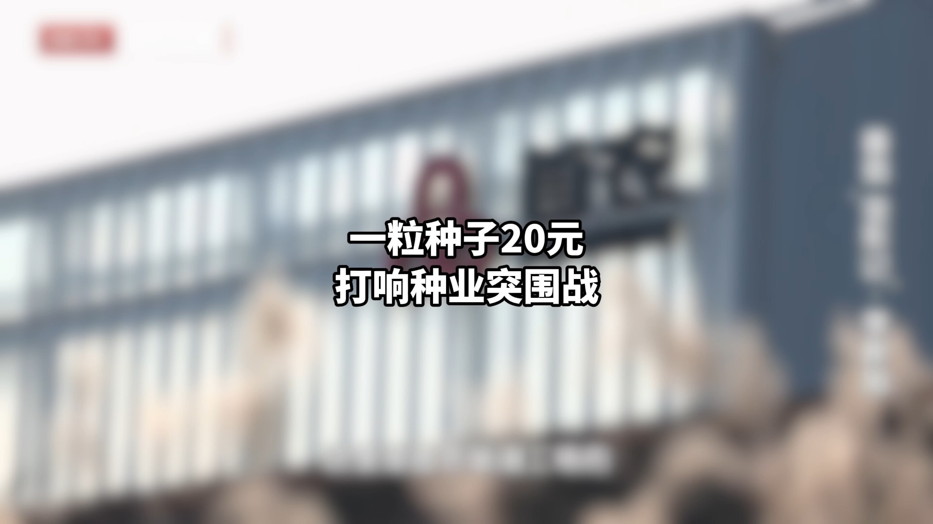 一粒种子20元,打响种业突围战 一粒种子20元,打响种业突围战