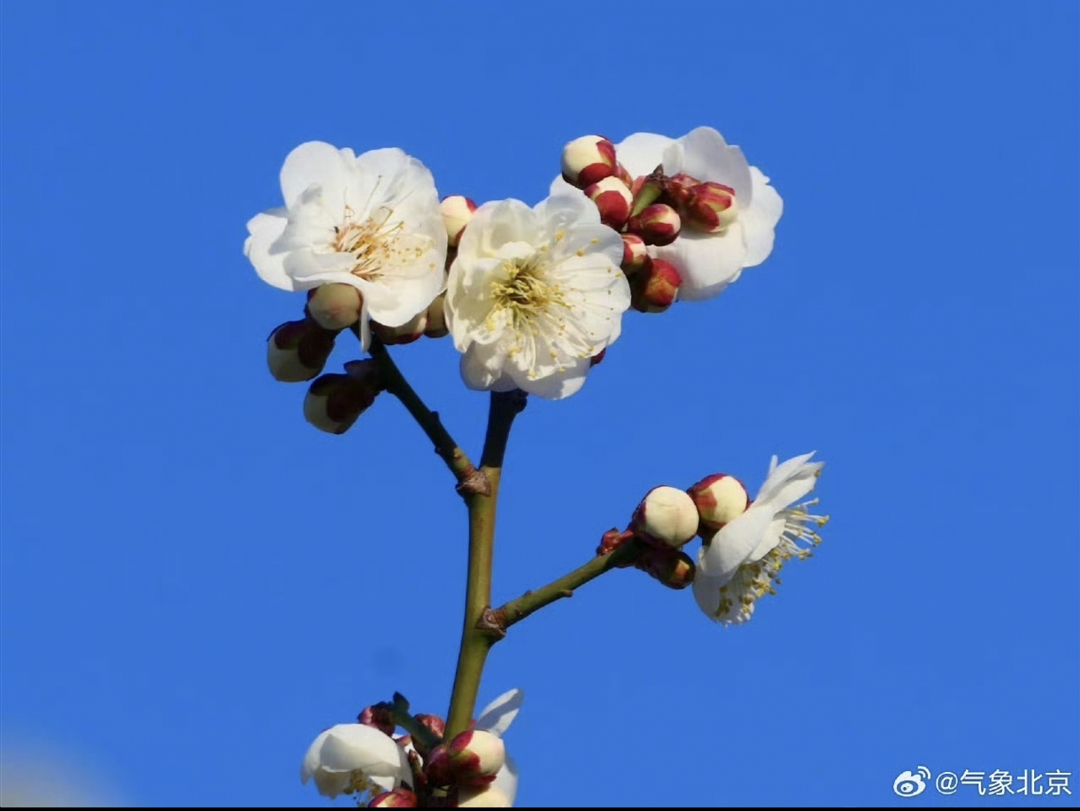 降温在即北京周五迎小雨天气