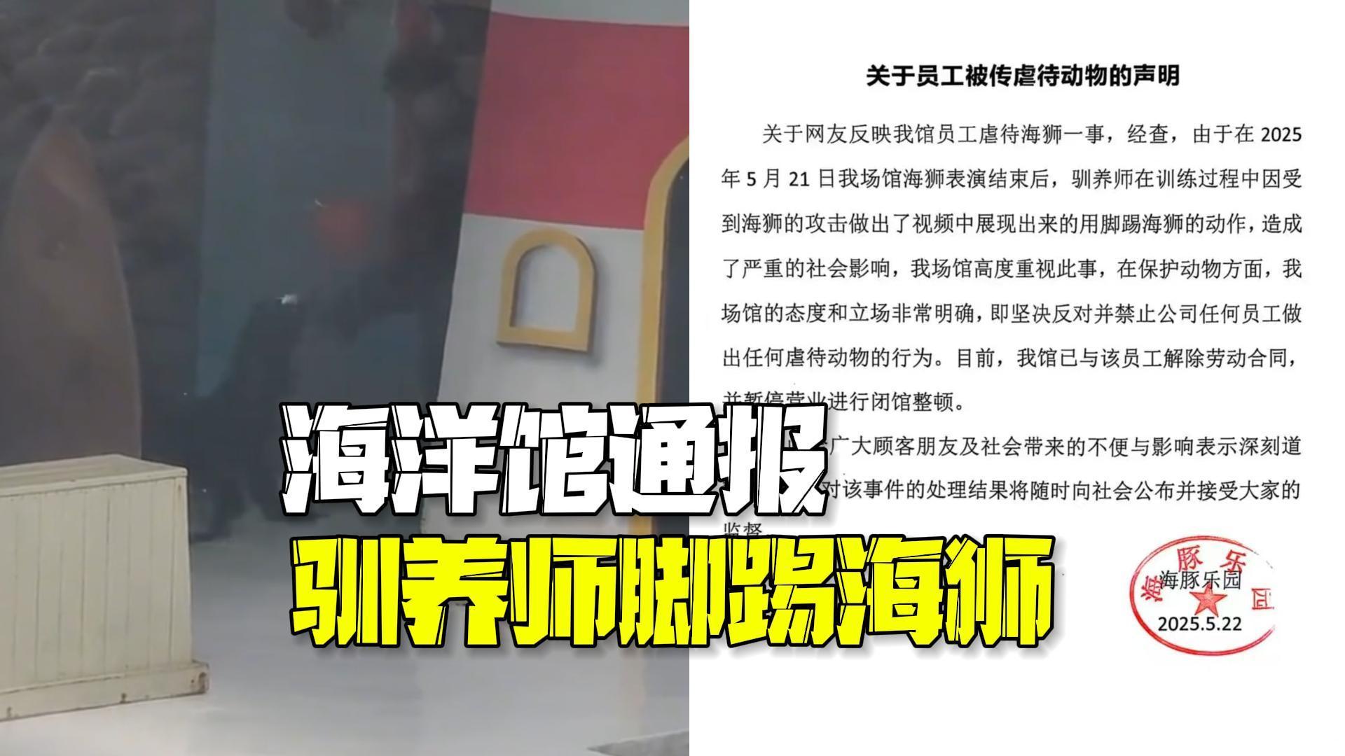海洋馆通报驯养师脚踢海狮：已解除劳动合同，停业整顿！