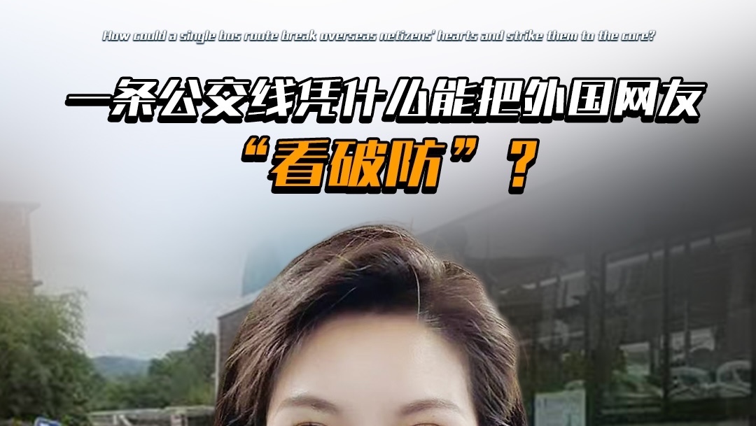 一条惠农公交，为何让外国网友彻底破防？