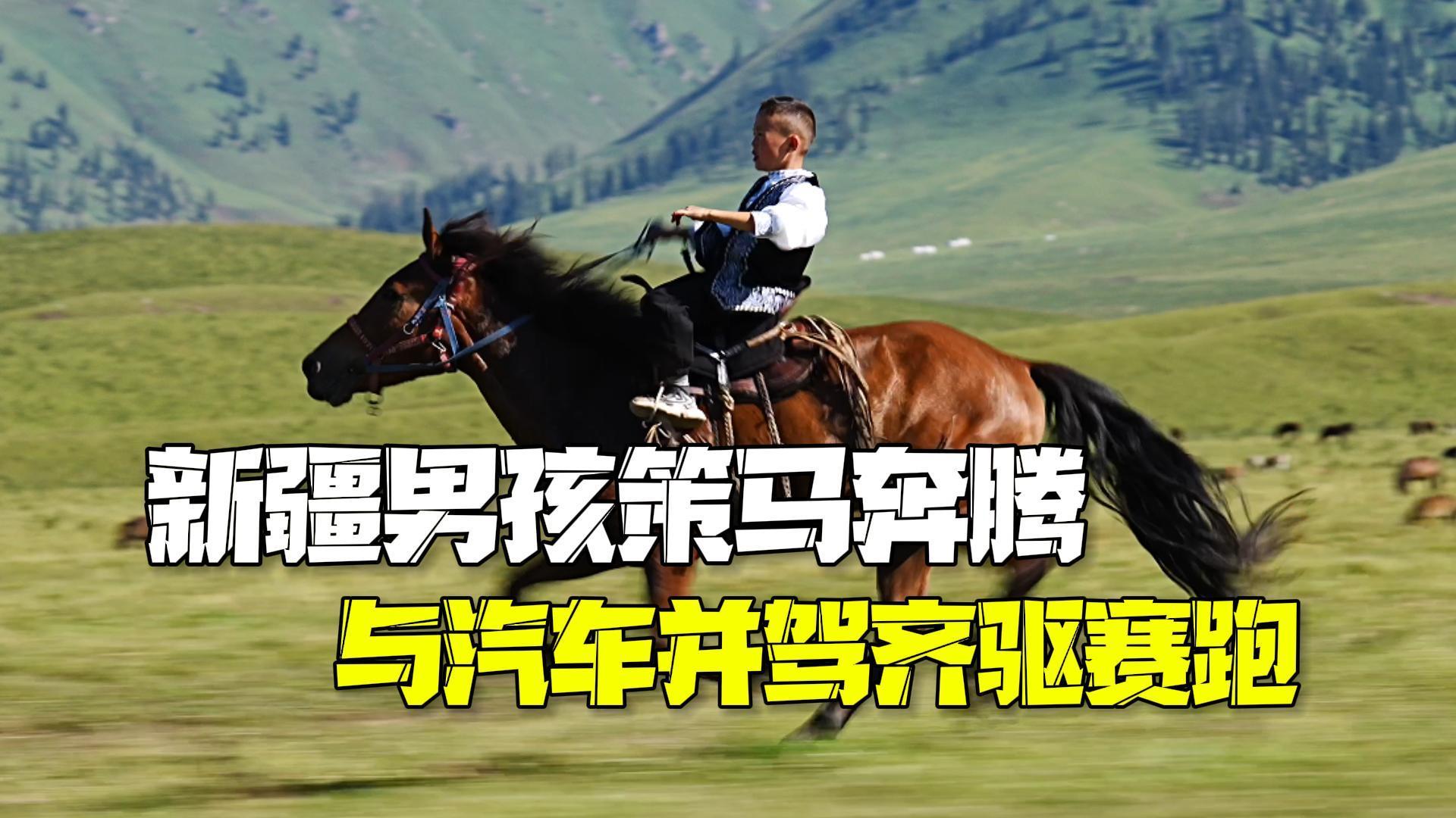 新疆男孩草原策马奔腾 与汽车并驾齐驱赛跑 新疆男孩草原策马奔腾 与汽车并驾齐驱赛跑