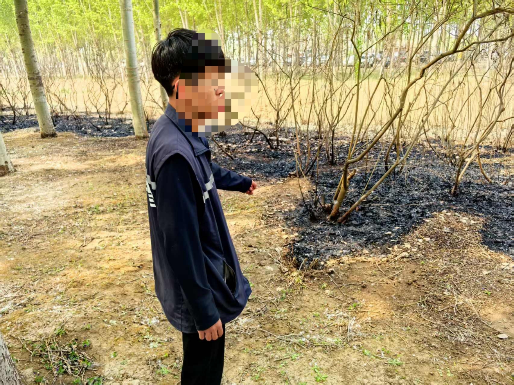 “手欠”点燃杨柳絮,18岁小伙儿换来十日拘留! “手欠”点燃杨柳絮,18岁小伙儿换来十日拘留!