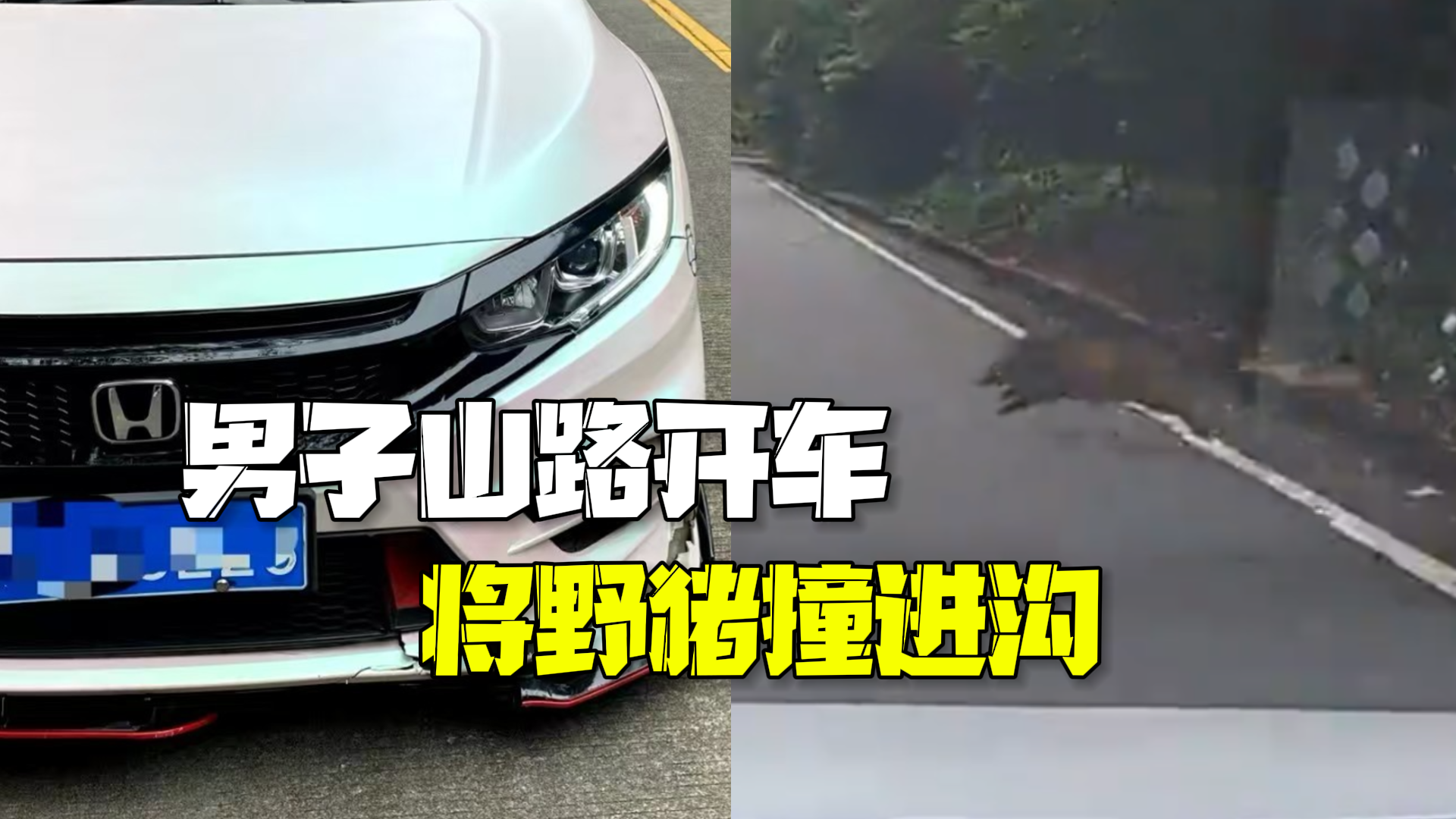 男子山路开车遇野猪窜出 躲避不及保险杠被撞断 男子山路开车遇野猪窜出 躲避不及保险杠被撞断