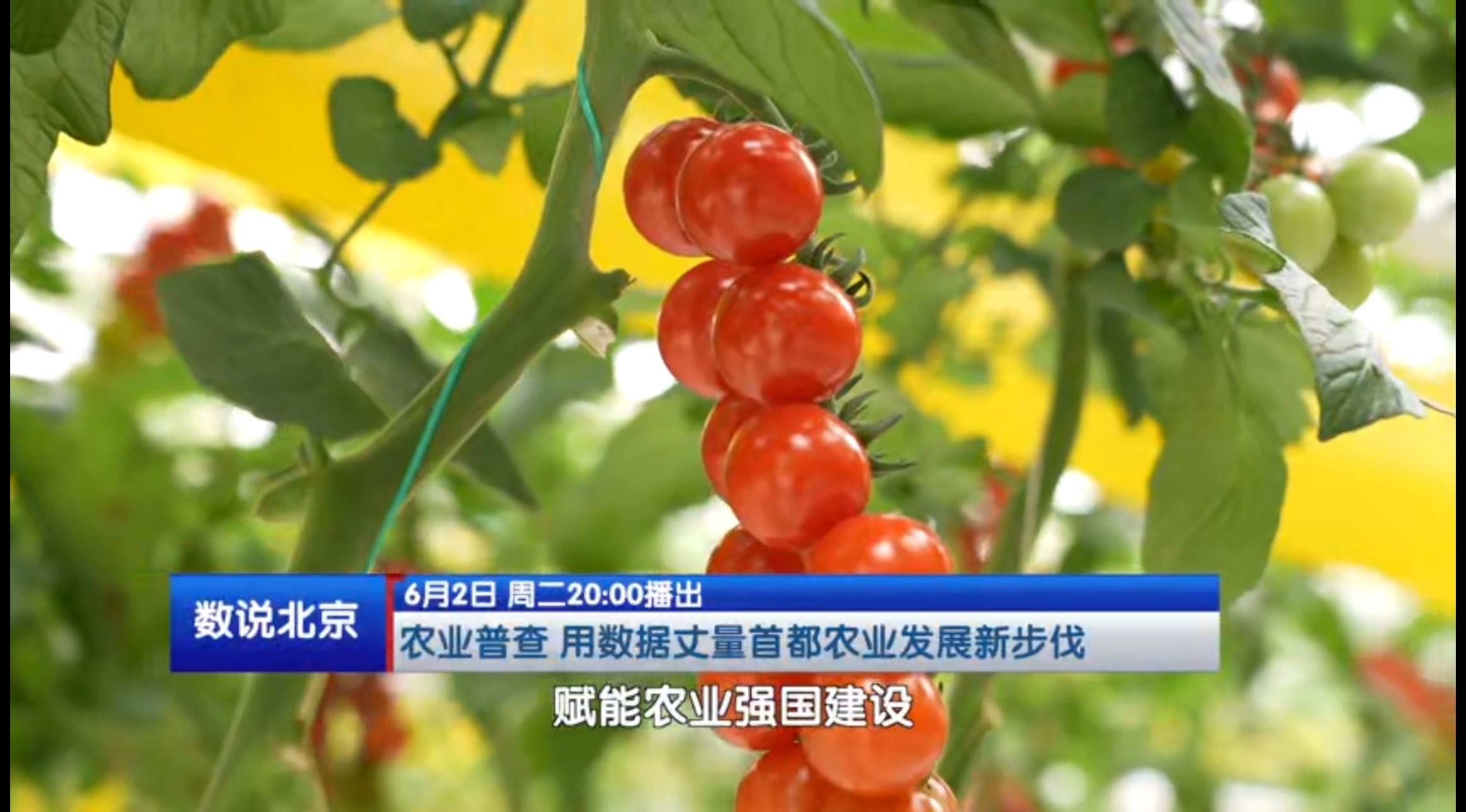 《数说北京》关注全国第四次农业普查