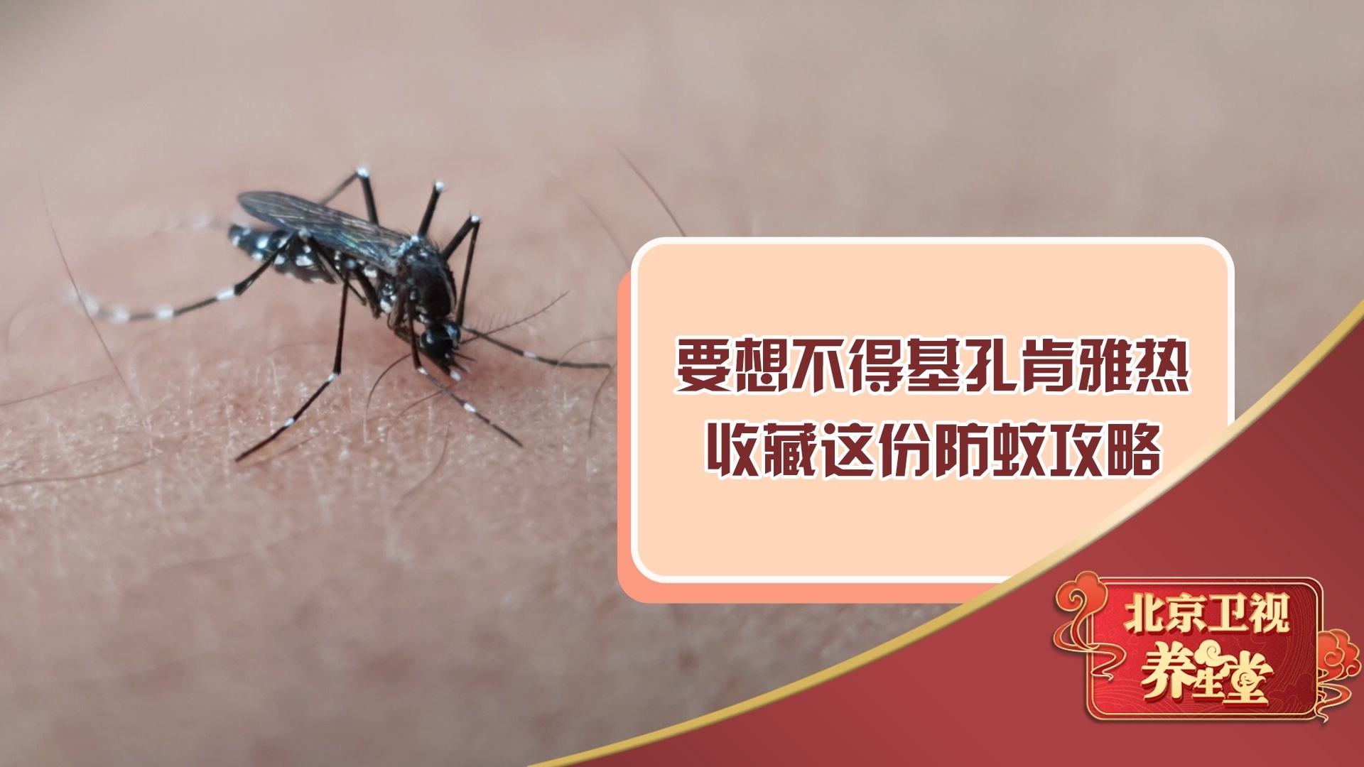 要想不得基孔肯雅热，收藏这份防蚊攻略！
