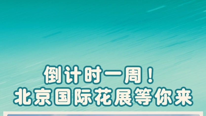 倒计时一周！北京国际花展等你来～