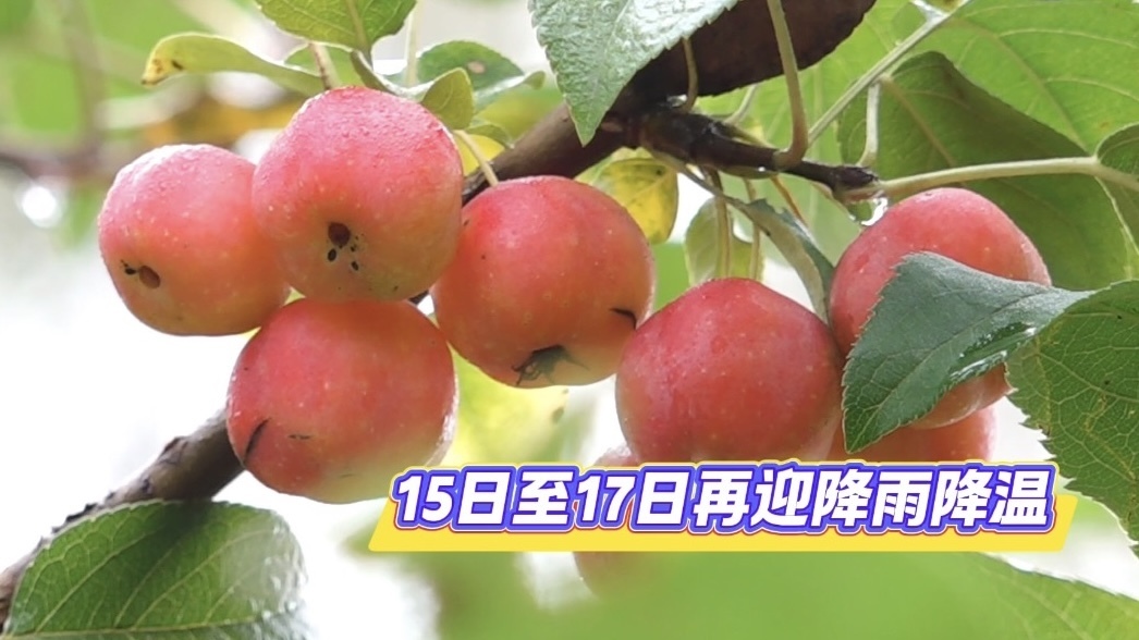 北京本周将再迎降雨降温