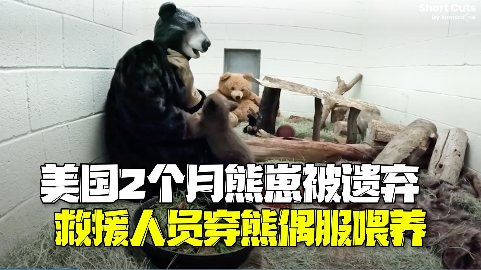 2个月熊崽被遗弃奄奄一息 美国救援人员穿熊偶服喂养 2个月熊崽被遗弃奄奄一息 美国救援人员穿熊偶服喂养