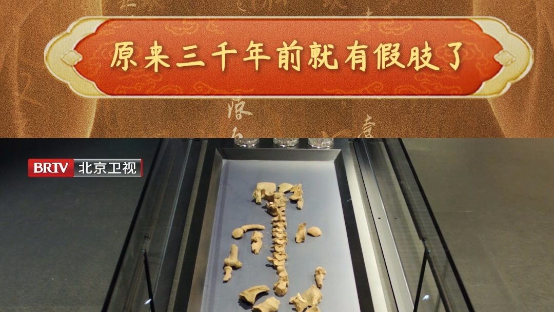 原来三千年前就有假肢了