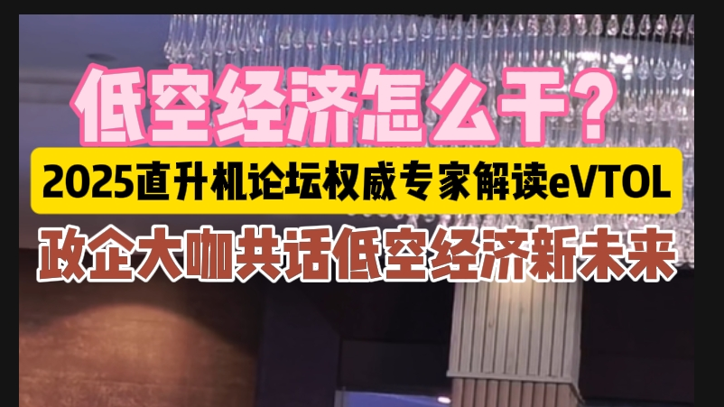 低空经济怎么干？2025直升机论坛政企大咖共话低空经济新未来