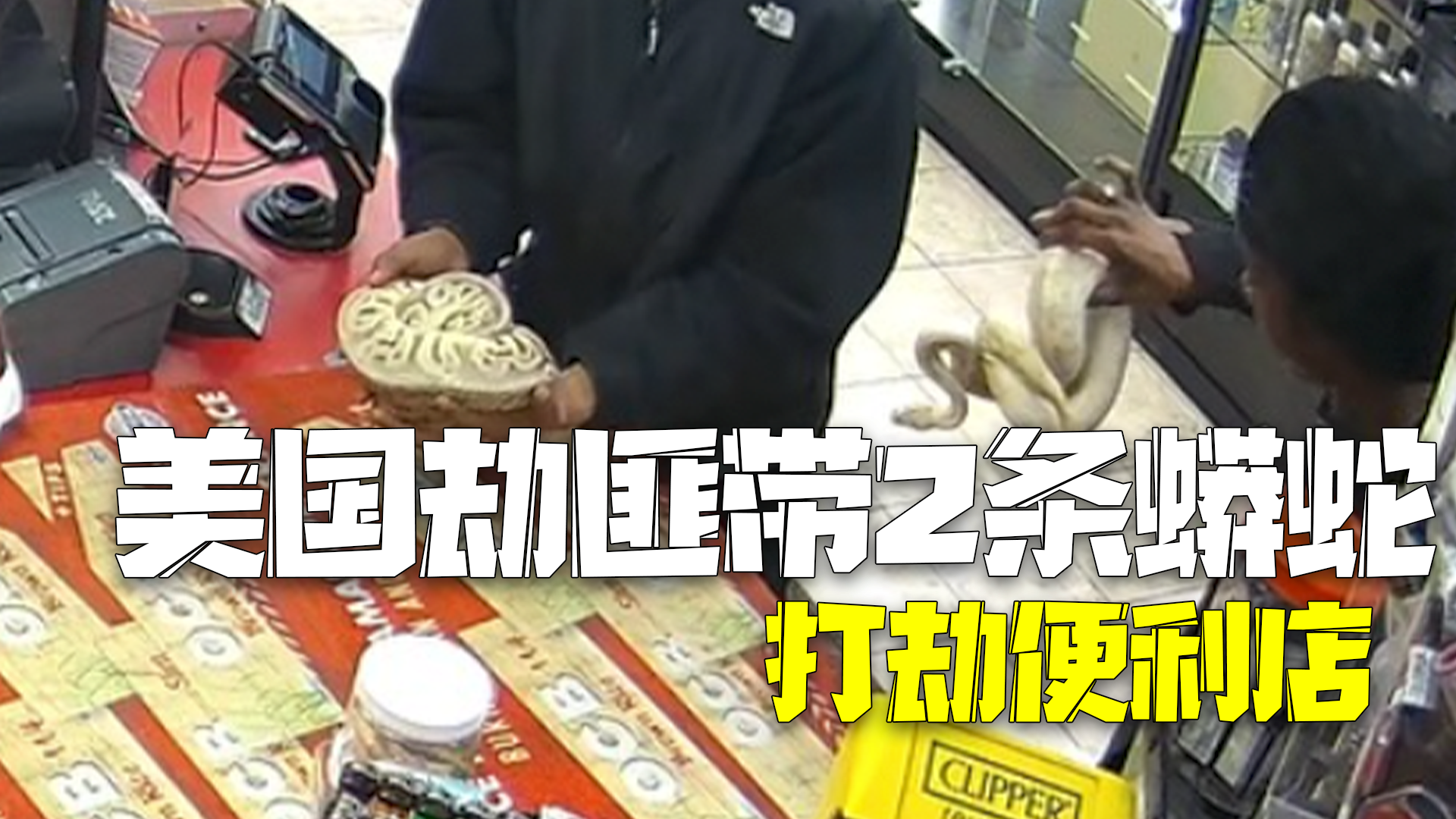 正通缉!美国4劫匪带2条活蟒蛇打劫便利店 挥蛇恐吓店员拿吃拿喝还抢加油卡 正通缉!美国4劫匪带2条活蟒蛇打劫便利店 挥蛇恐吓店员拿吃拿喝还抢加油卡