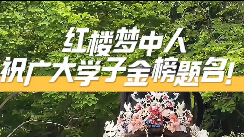 红楼一梦，前程似锦✨