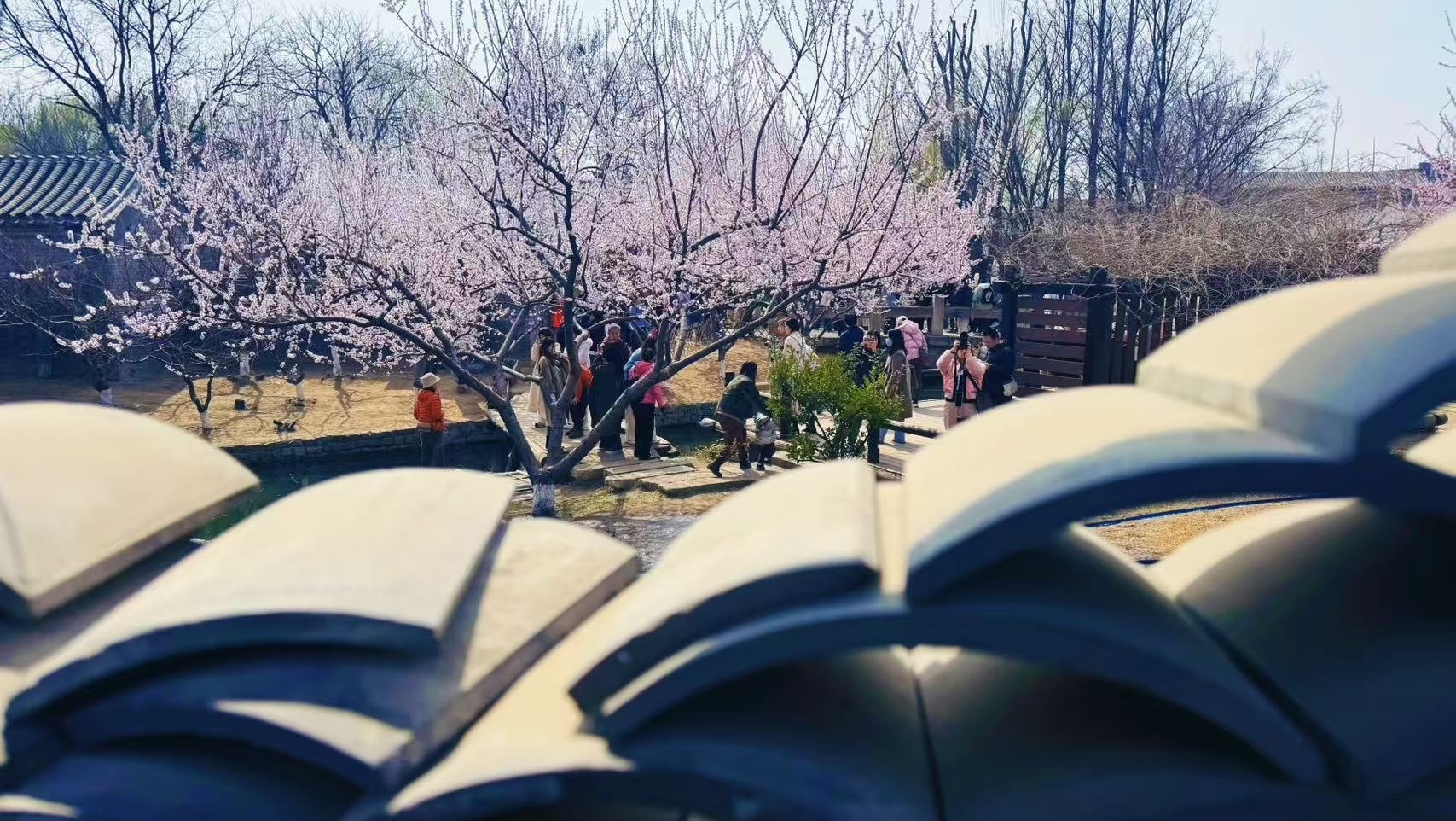 春日好时光 出门晒老己 遇见都市里的桃花源