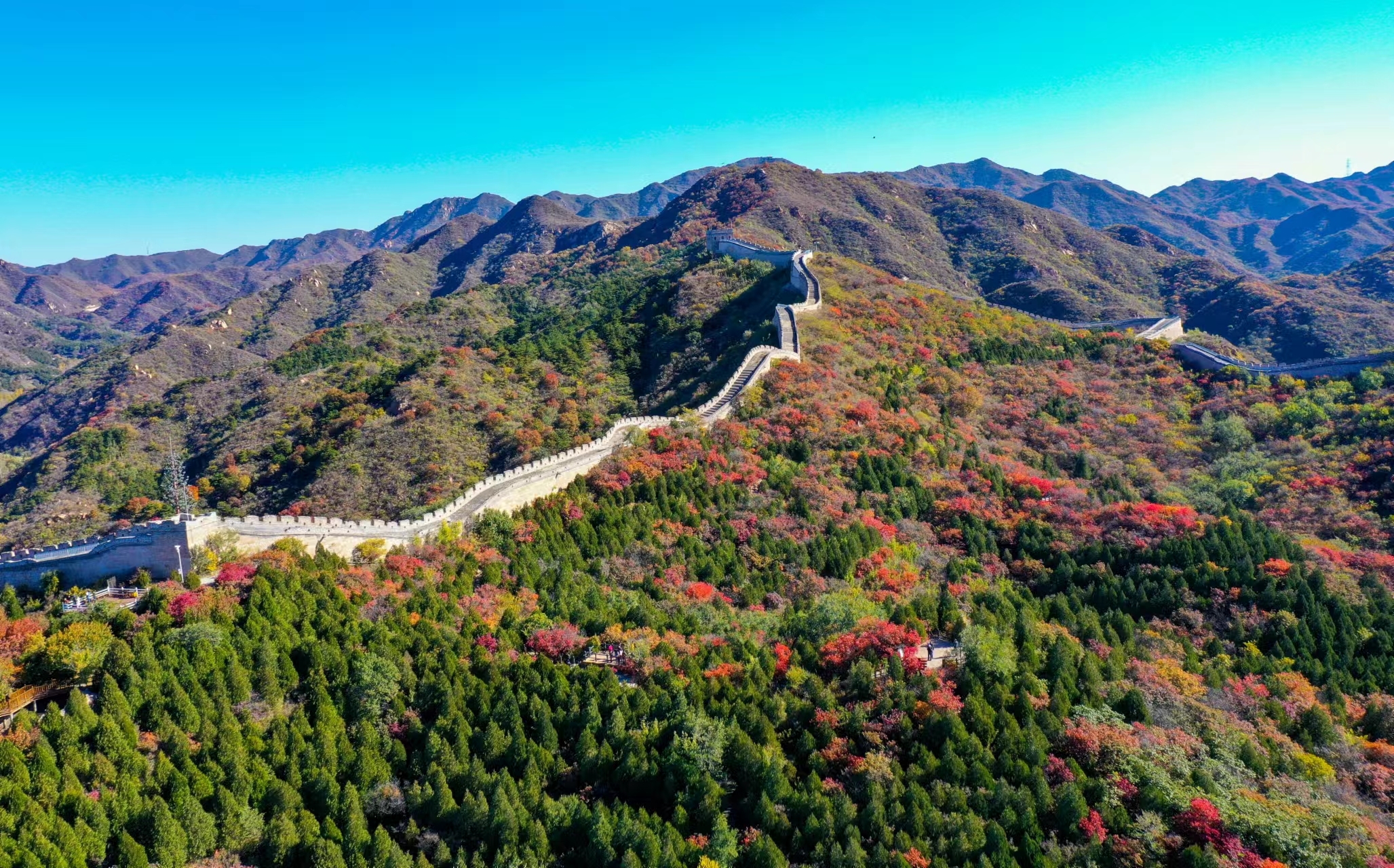 北京秋天最早的红叶来啦! 北京秋天最早的红叶来啦!