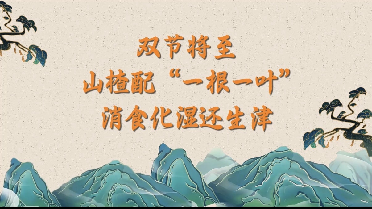 （9.20）双节将至，山楂配“一根一叶”，消食化湿还生津