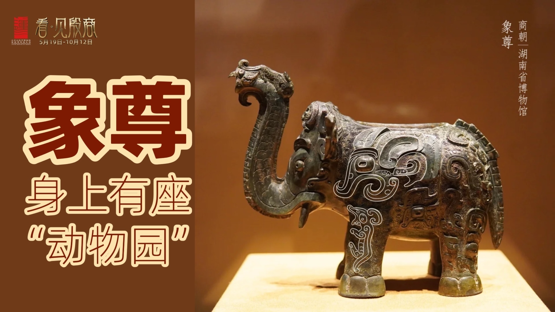 看·见殷商大展｜象尊身上的隐藏动物园