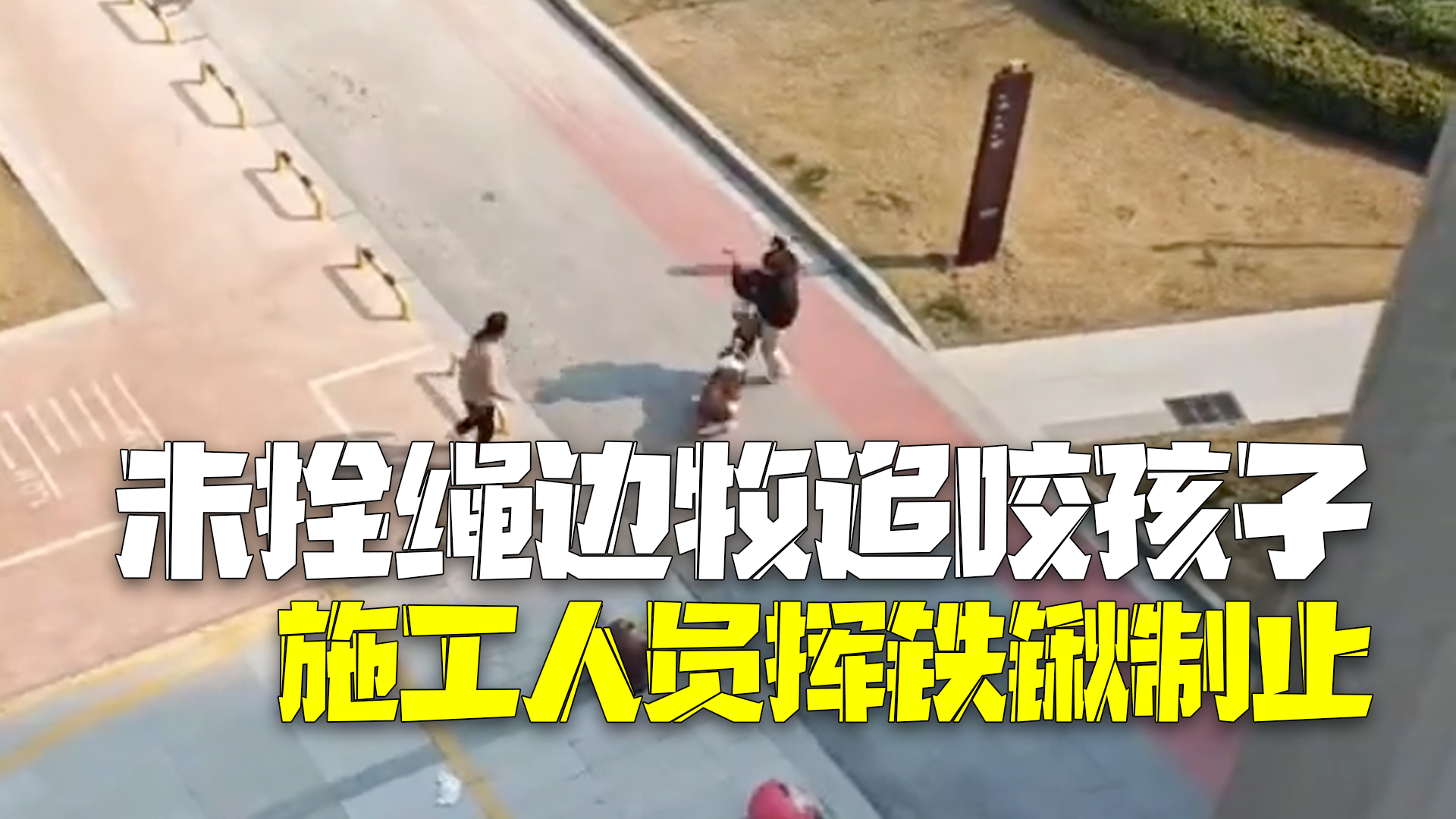未拴绳边牧小区内追咬孩子 施工人员挥舞铁锹赶走恶犬
