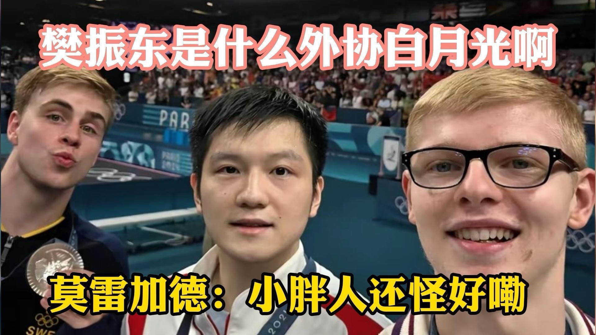 樊振东是什么外协白月光啊 樊振东是什么外协白月光啊