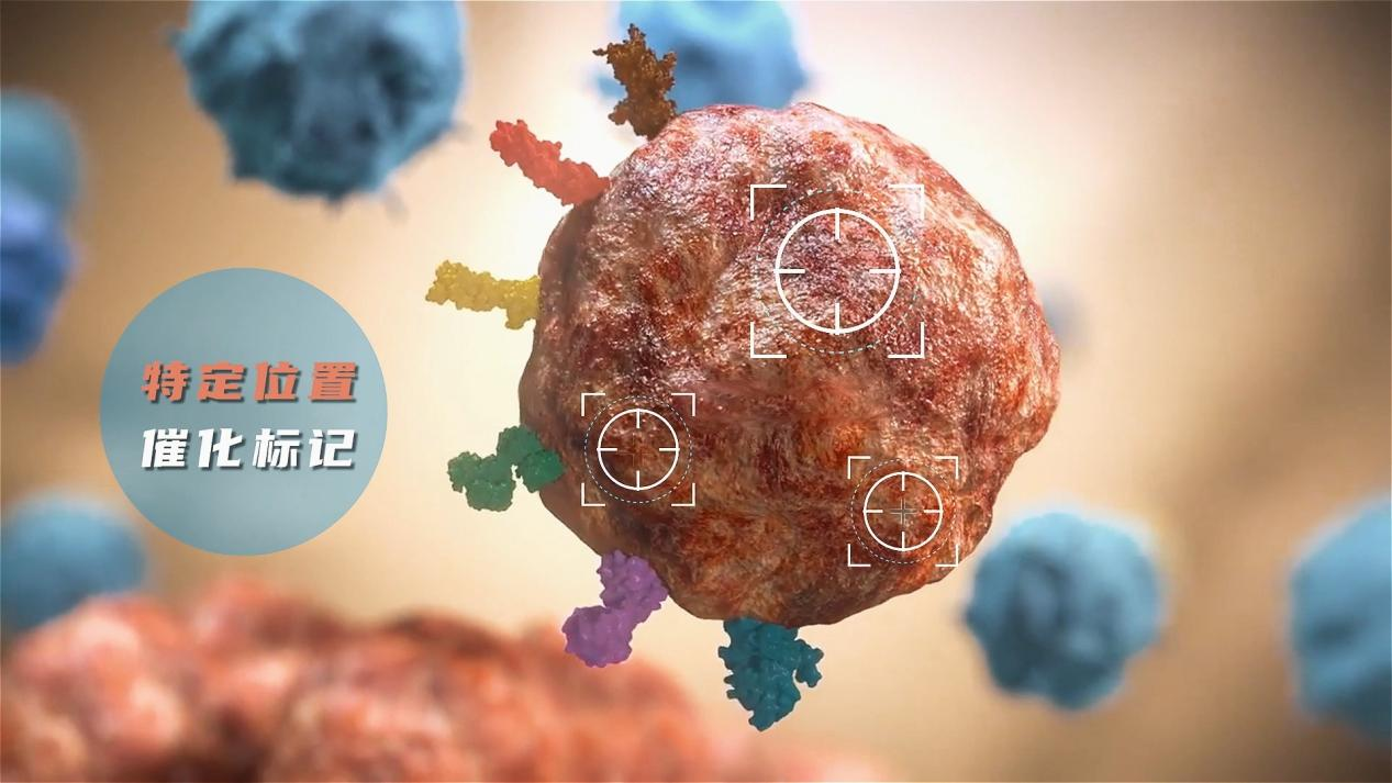 科学家开发新型邻近标记技术有望精准打击癌细胞 科学家开发新型邻近标记技术有望精准打击癌细胞
