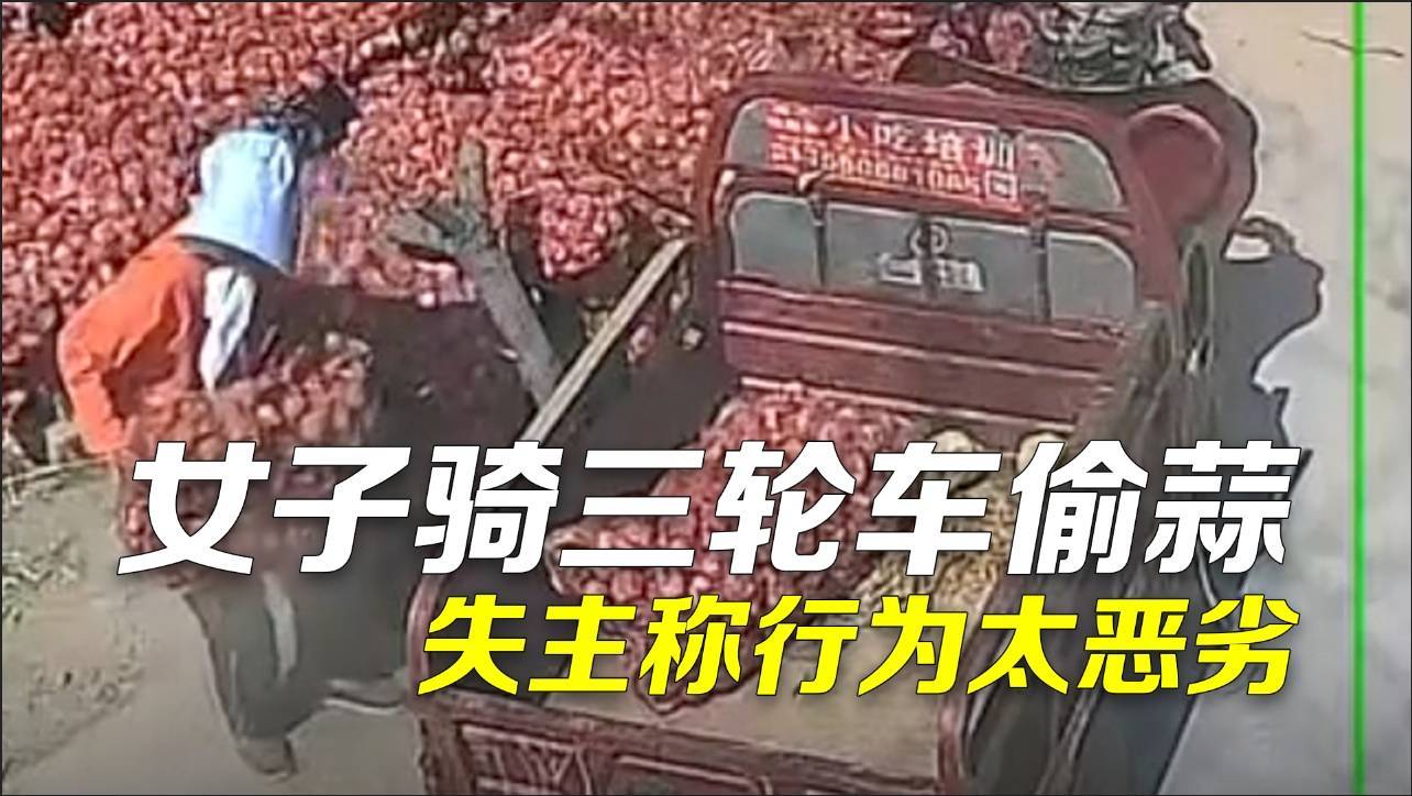 女子骑三轮车偷蒜整袋搬走 失主:损失虽小但性质恶劣 女子骑三轮车偷蒜整袋搬走 失主:损失虽小但性质恶劣