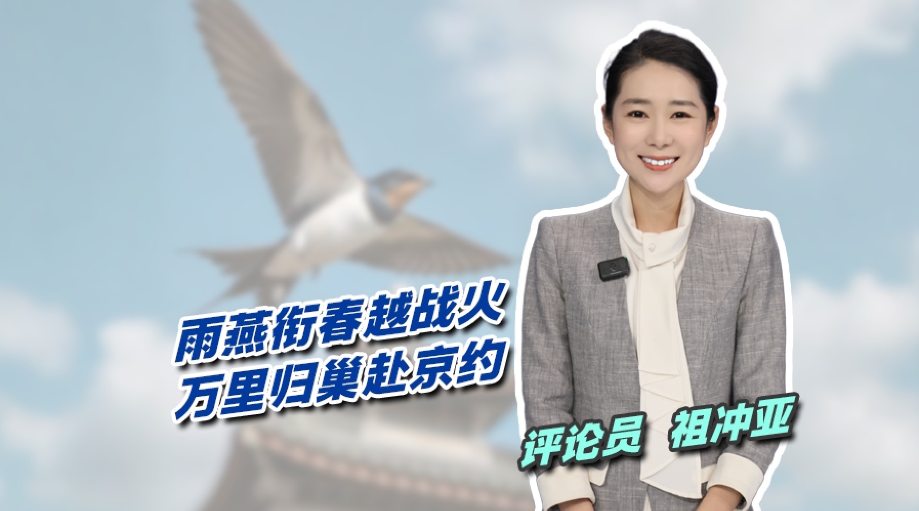 雨燕衔春越战火，万里归巢赴京约