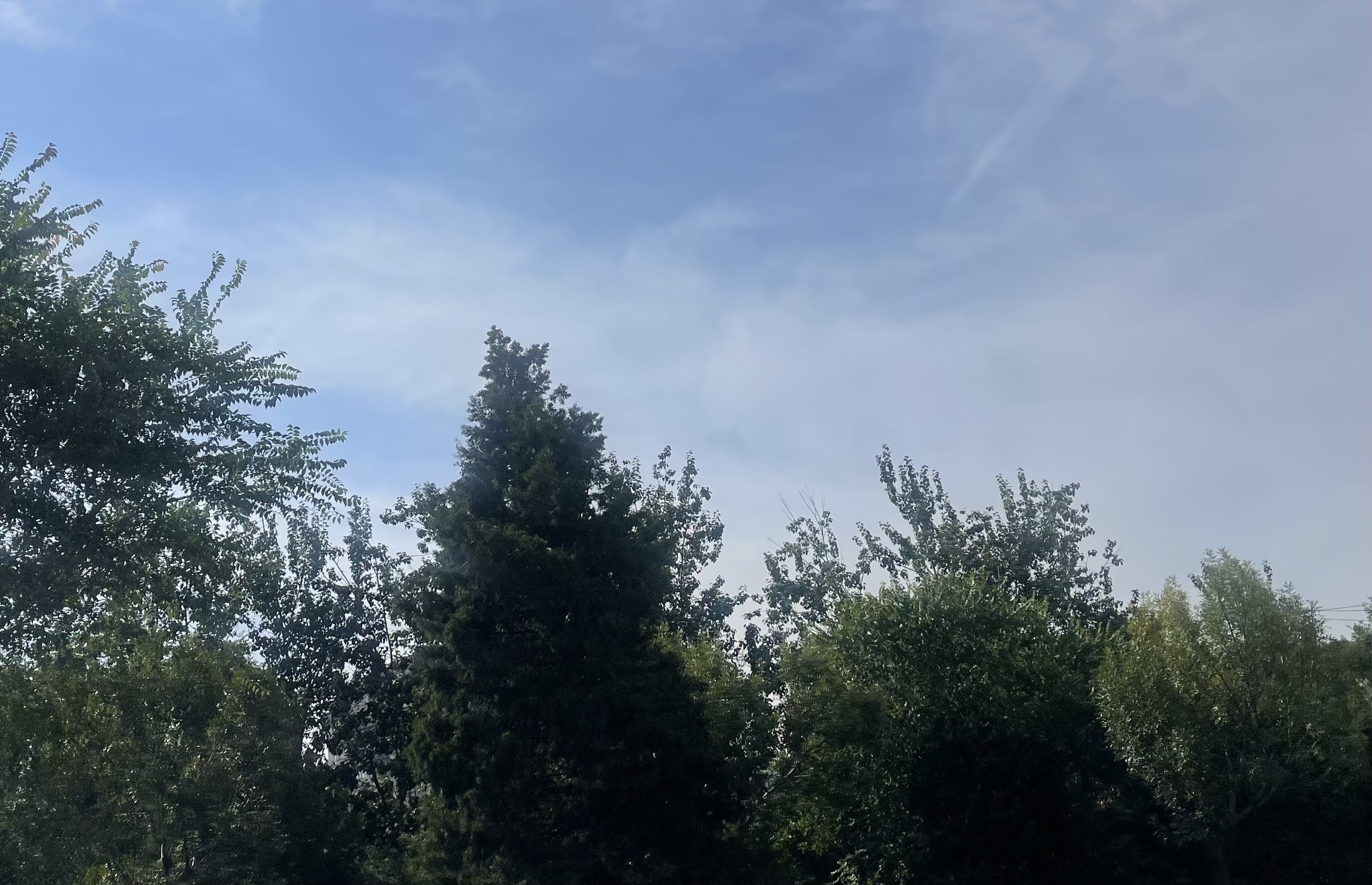 今晚山区有雪,本月下旬冷空气频繁到访 今晚山区有雪,本月下旬冷空气频繁到访