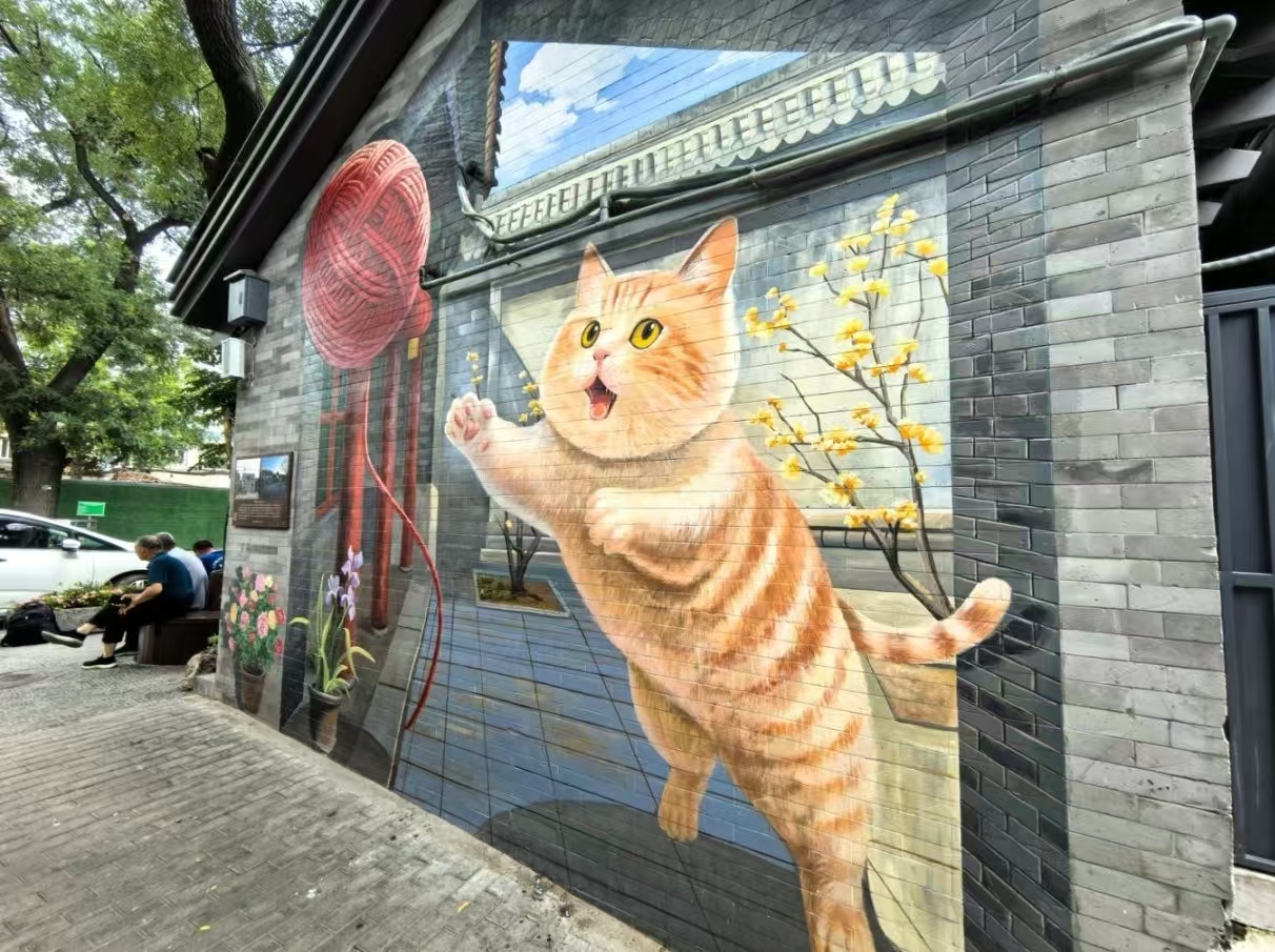 驼铃古道“花漾”焕新：模式口十大花景塑范本