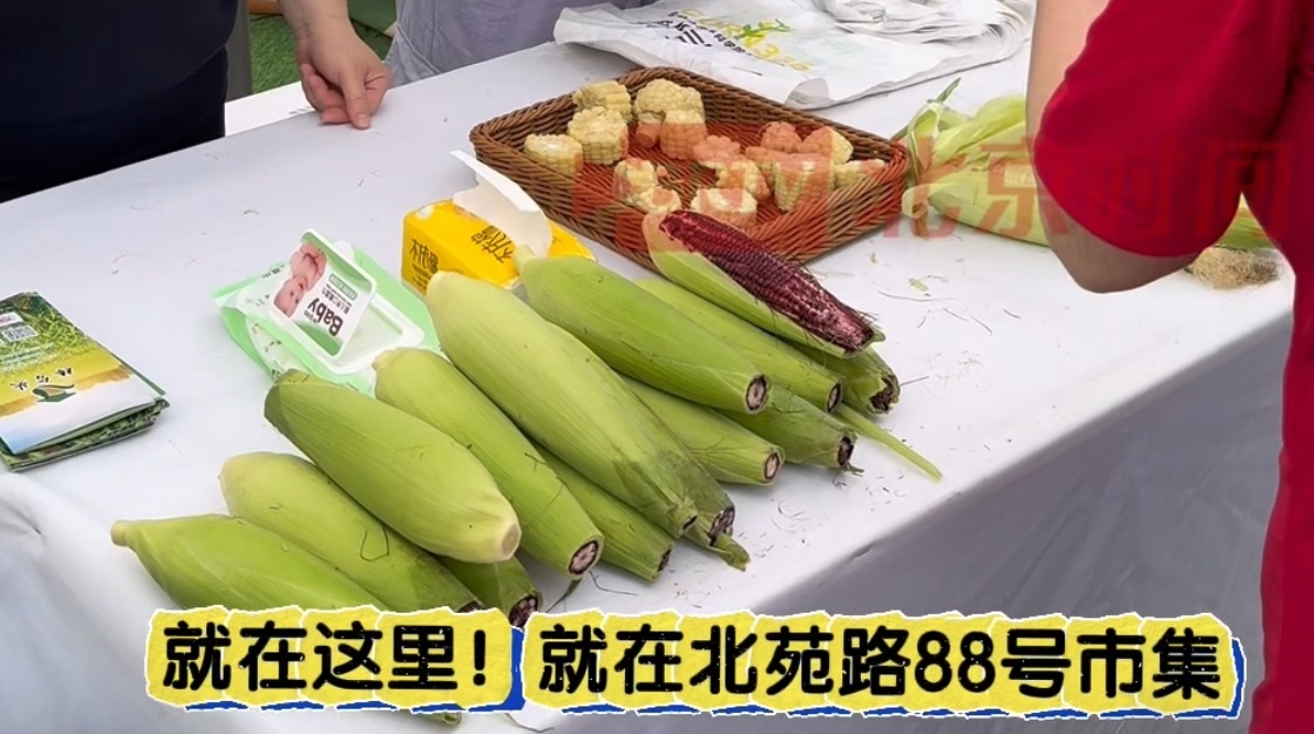 这里有小时候的“味道” 玫瑰香的甜糯玉米你吃过吗? 这里有小时候的“味道” 玫瑰香的甜糯玉米你吃过吗?