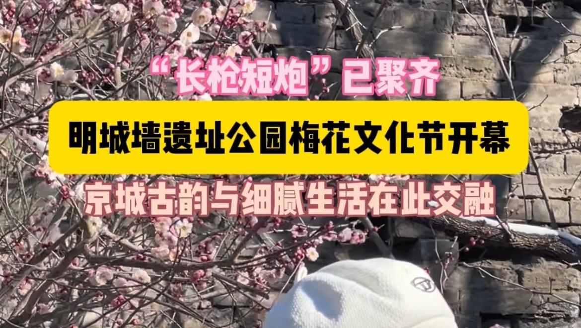 “长枪短炮”已聚齐！北京明城墙遗址公园早梅初绽