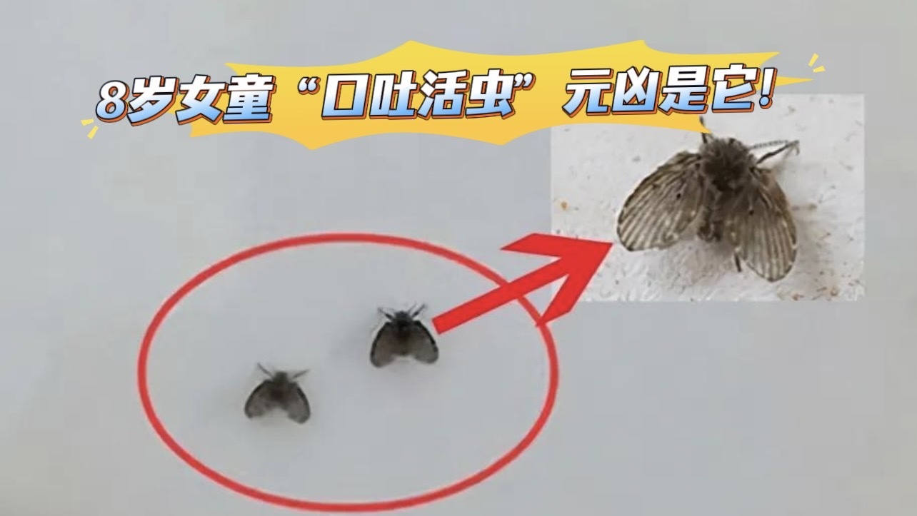 8岁女童“口吐活虫”元凶是它！速查！可能你家也有