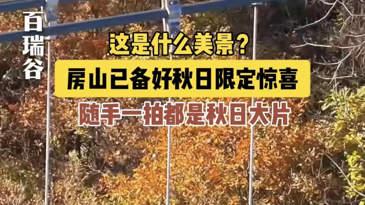 这是什么美景？京郊秋日惊喜已就位！承包你所有的秋日浪漫