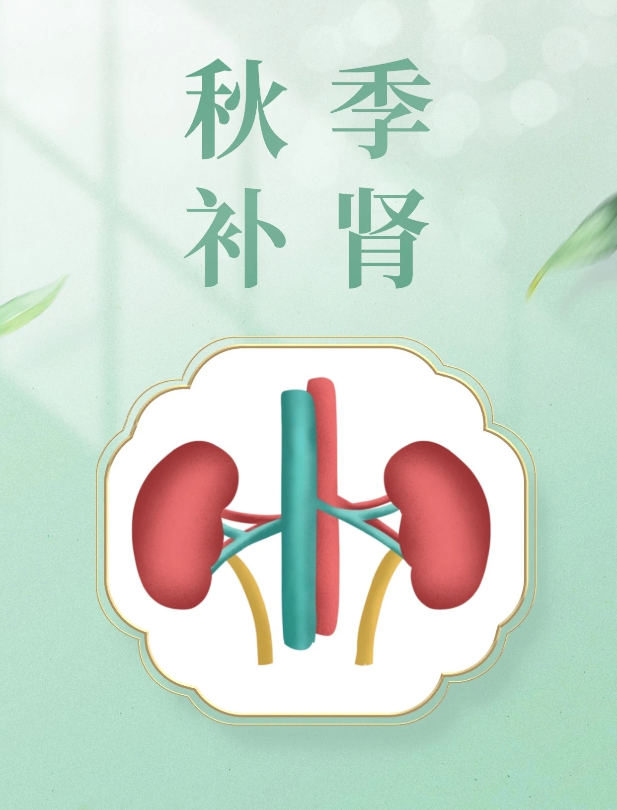 肾不好在秋季容易发生哪些疾病?秋后这么补,为冬季打基础 肾不好在秋季容易发生哪些疾病?秋后这么补,为冬季打基础