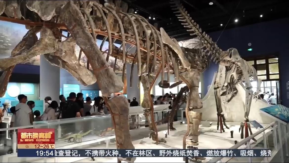 国家自然博物馆发布“最受观众喜爱的明星展品” 国家自然博物馆发布“最受观众喜爱的明星展品”