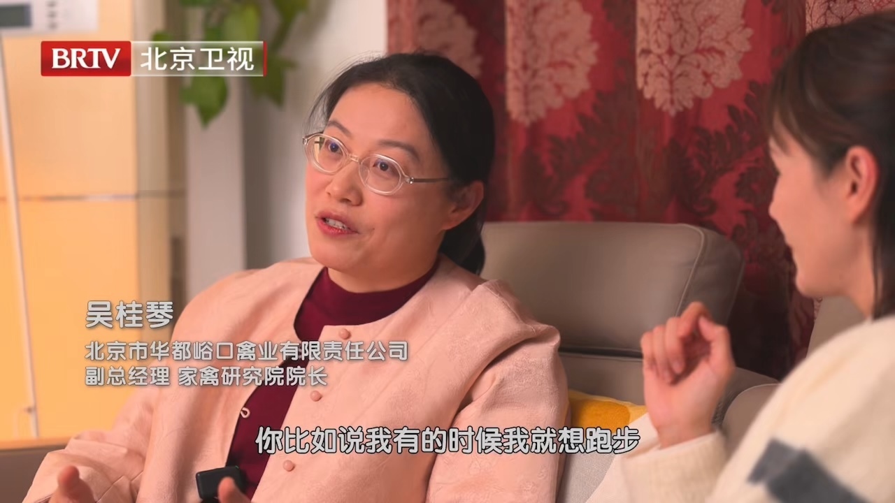 想都是问题，做全是答案