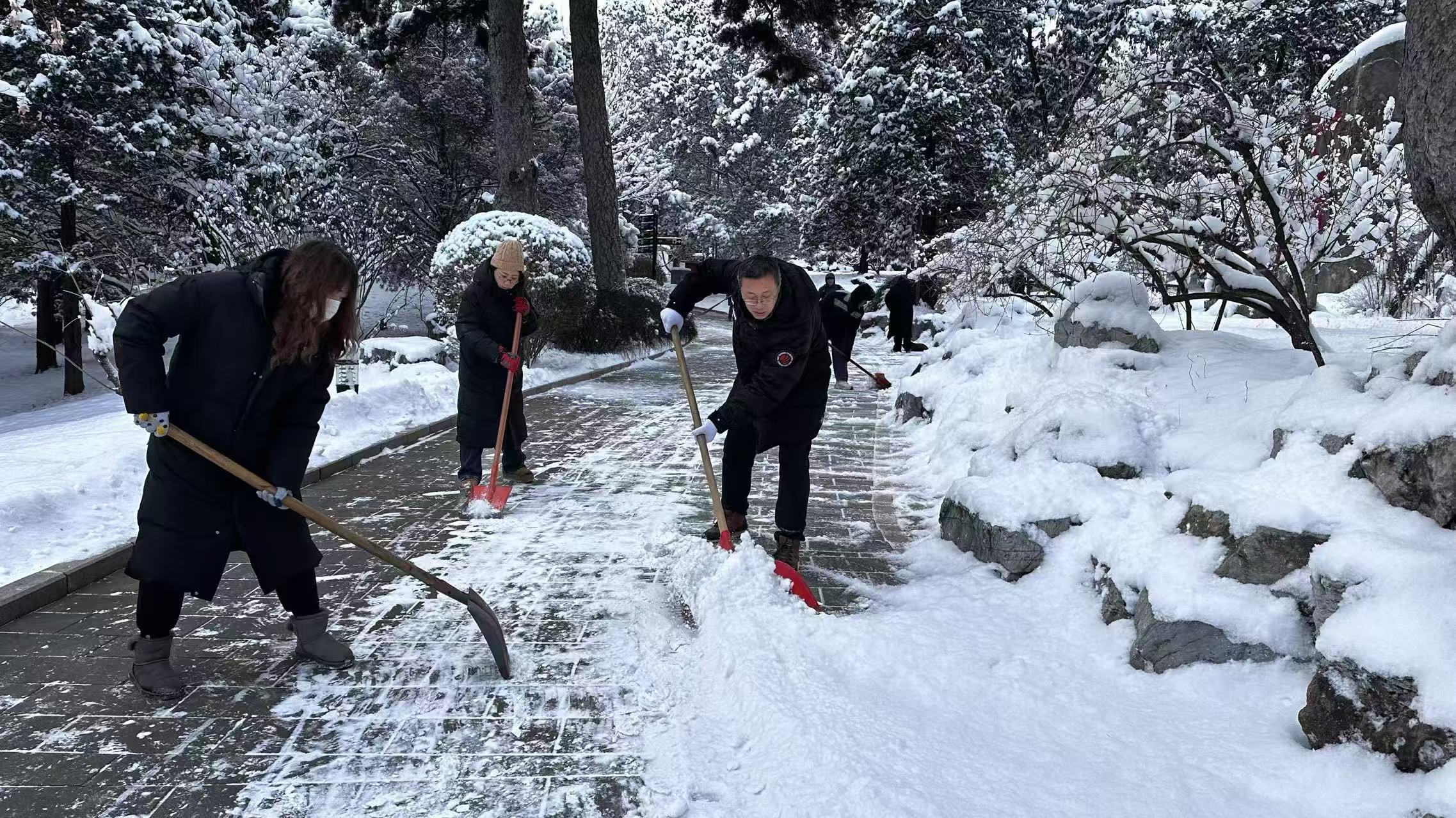 北京市属公园“变雪为宝” 北京市属公园“变雪为宝”