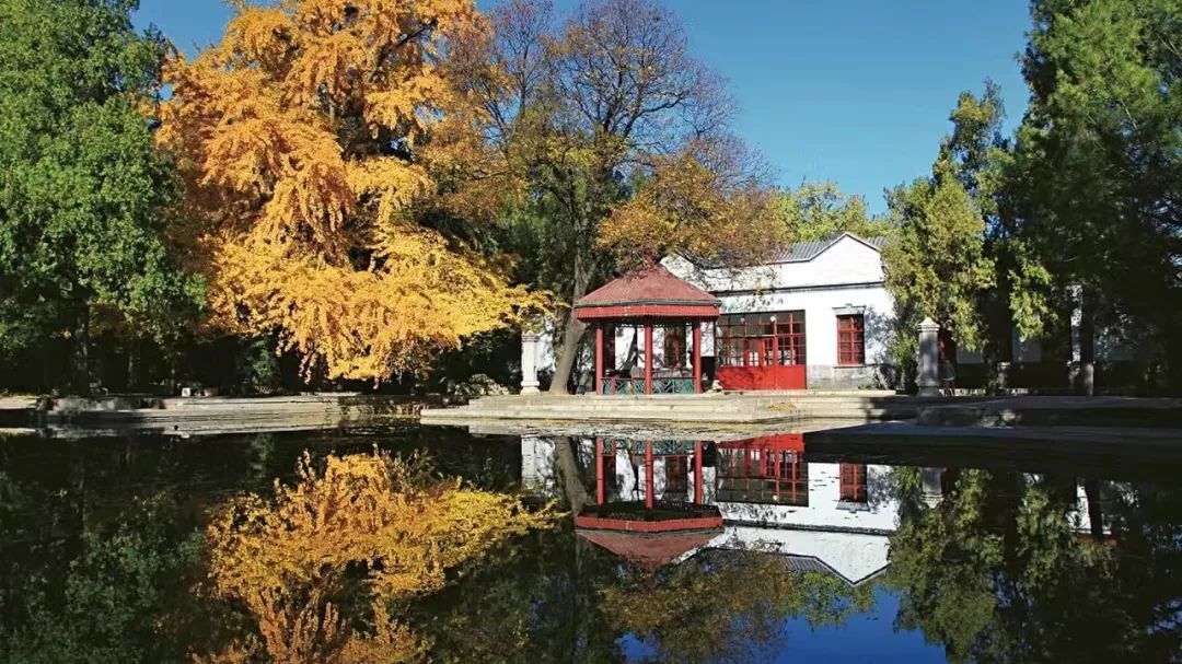 弘扬“赶考”精神 谱写时代新篇 弘扬“赶考”精神 谱写时代新篇