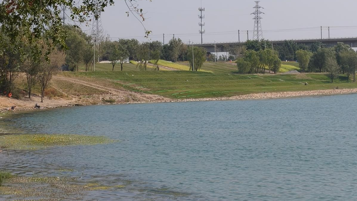 “守护湿地生态 共建花园城市” ——第十四个“北京湿地日”主题活动在永定河休闲森林公园举行