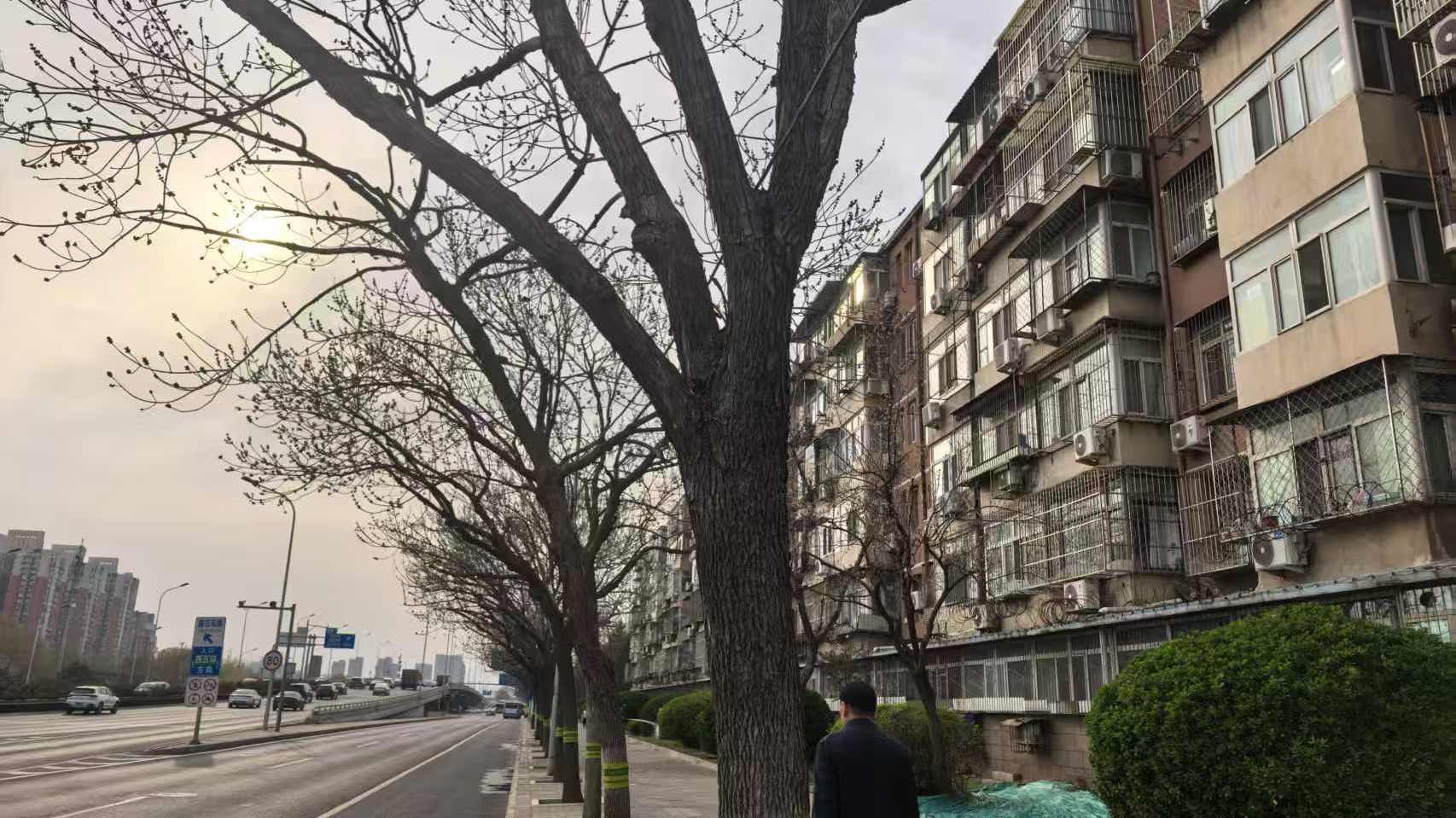 “进屋跟在大马路上似的!”小区紧挨莲石路,多年噪音难题有解吗? “进屋跟在大马路上似的!”小区紧挨莲石路,多年噪音难题有解吗?