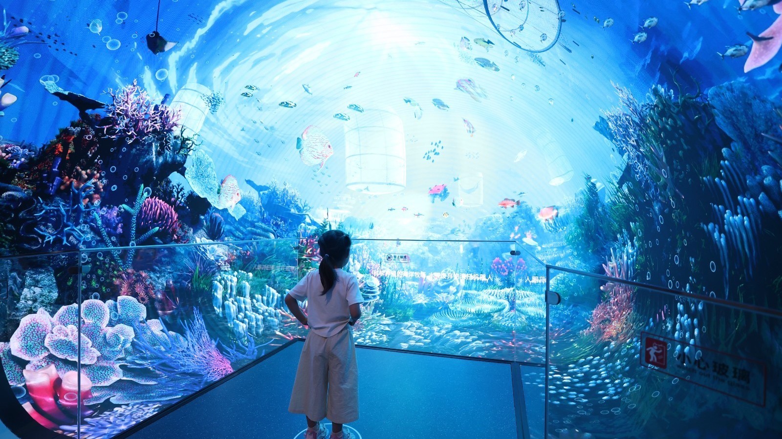 可看、可听、可玩！中国科技馆新展邀你“探寻海洋秘境”