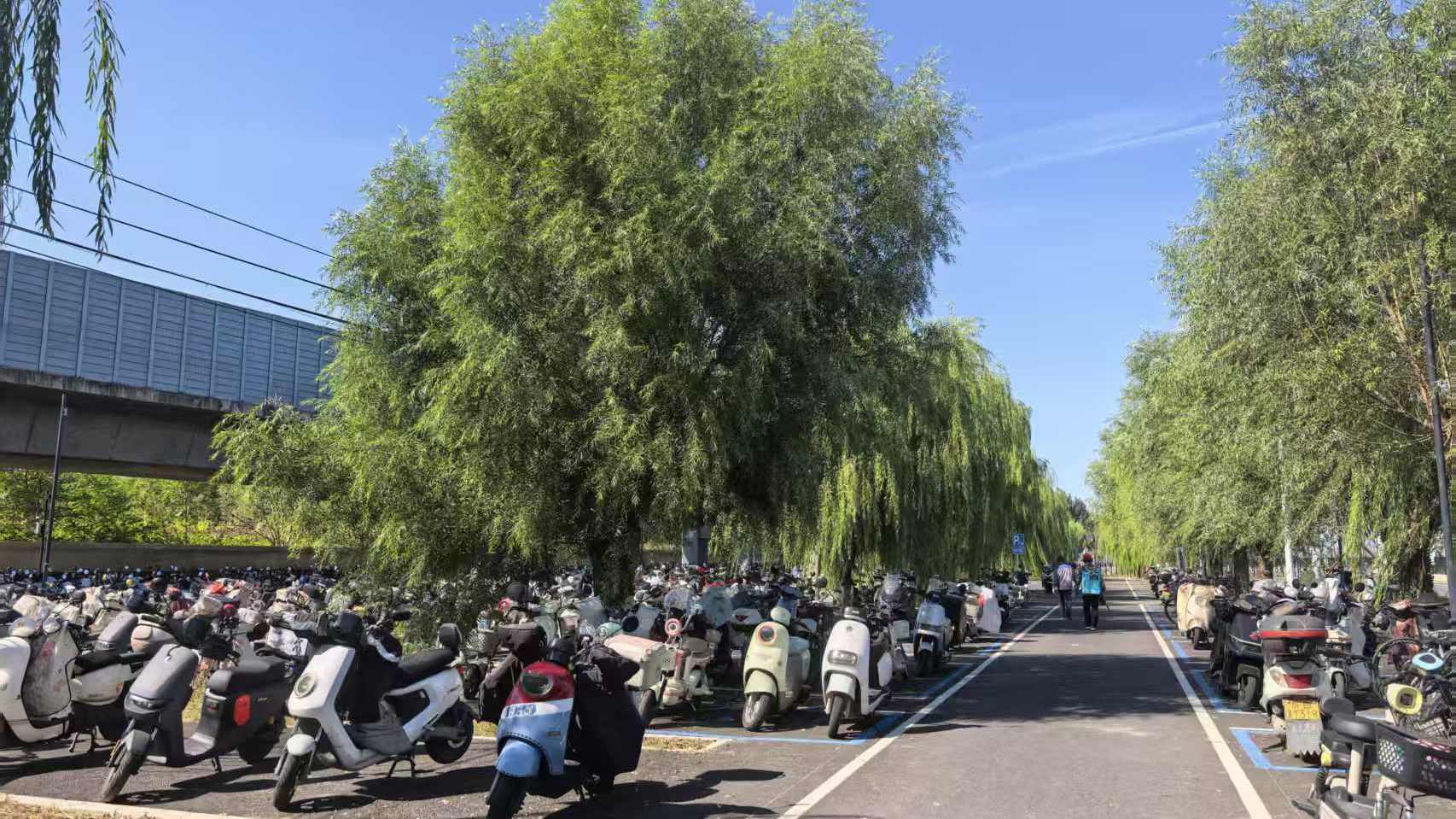 从“扎堆占道”到“对色入位”，天通苑北交通枢纽非机动车停放清爽升级