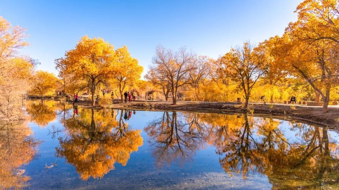 今天户外微风,适宜运动!早晨有轻雾,最高18℃!元气满满~ 今天户外微风,适宜运动!早晨有轻雾,最高18℃!元气满满~