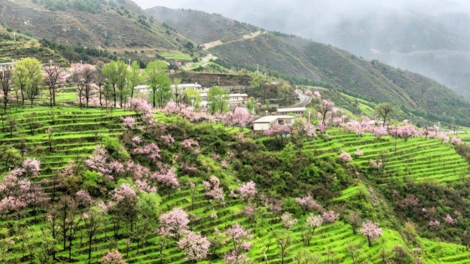 房山这片梯田美成水墨画 房山这片梯田美成水墨画