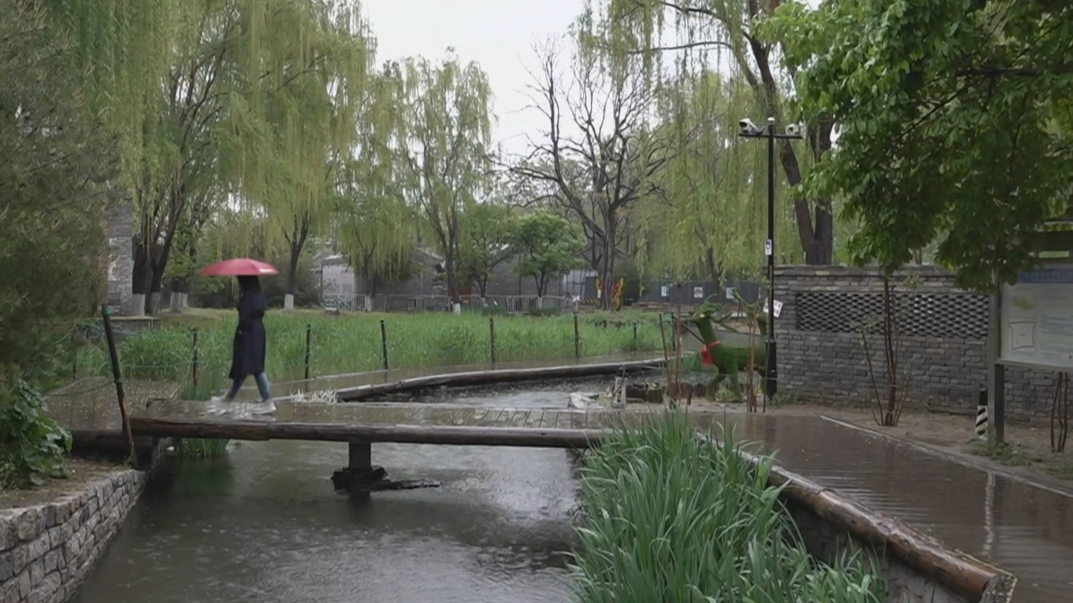 4月18日全市普降春雨 入夜后逐渐减弱结束