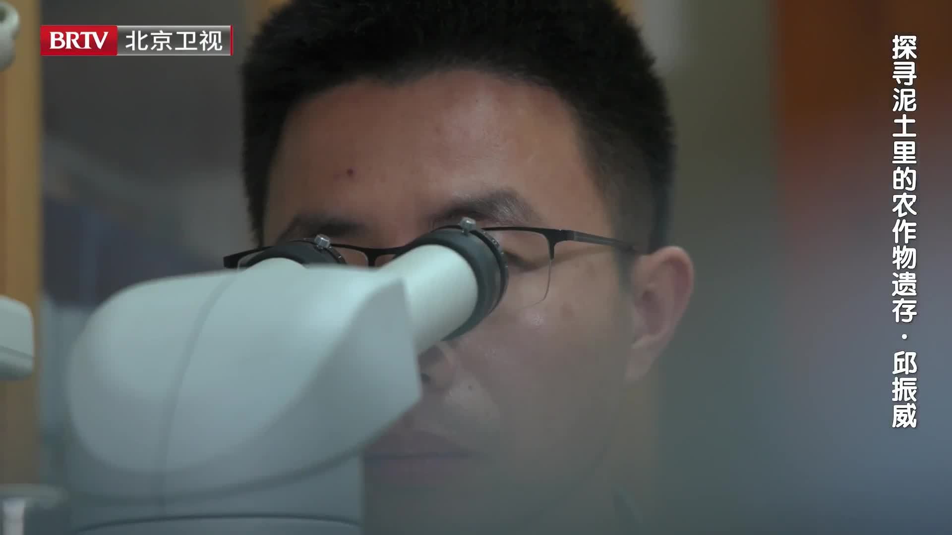 显微镜下的奇迹！5微米植硅体揭秘古农业